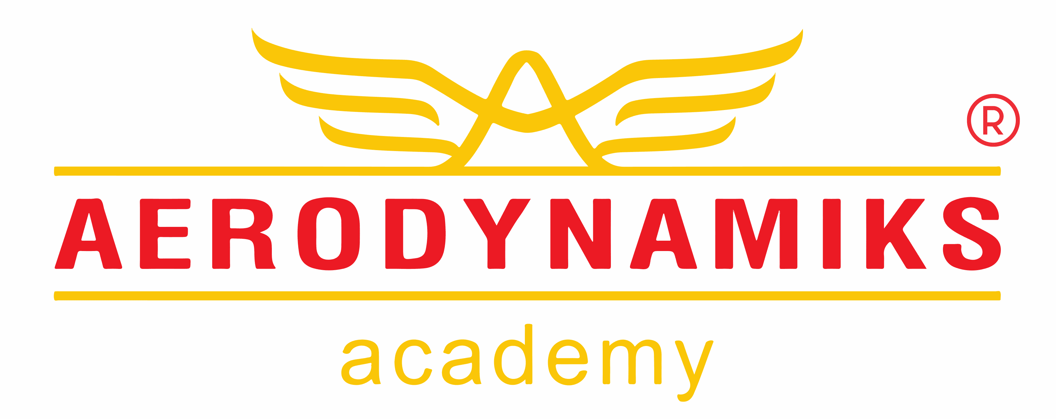 Aerodynamiks Academy